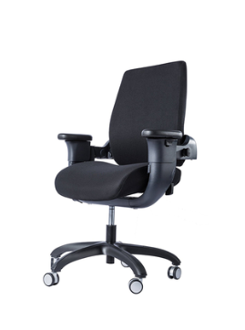 Ergonomic Swing Chair